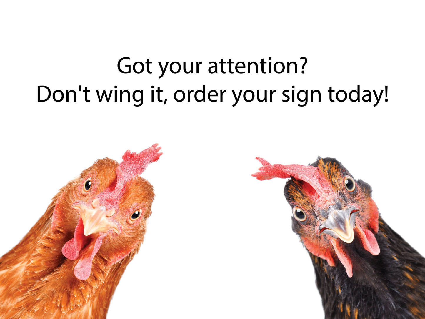 Chicken Coop Sign, Farm Fresh Eggs Sign, Custom Chicken Sign, Fresh Egg Plaques, Personalized Hen House Signs, Tailored Farmstead Decor
