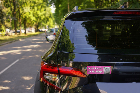 Bestie Please Let Me Merge Funny Gen Z Meme  Pink Bumper Sticker & Car Magnet - UV resistant