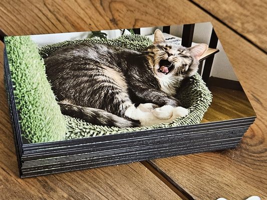 Custom Magnets - Print and Cut Any Design and Shape - Scratch Resistant, Waterproof Custom magnets, Custom magnets, Logo, Branding